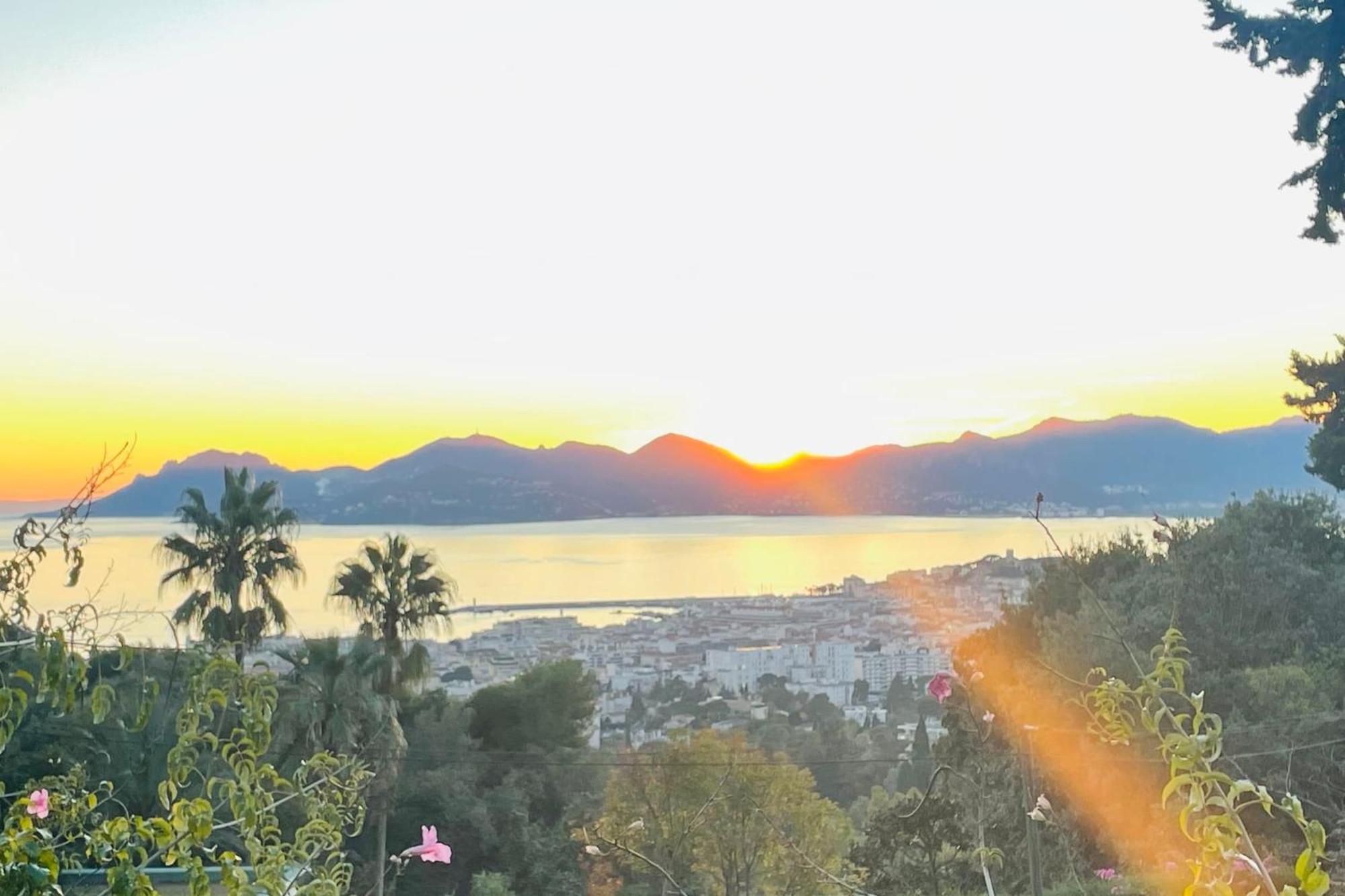 Splendid 1br In New - Palais 3 Mns Apartment Cannes
