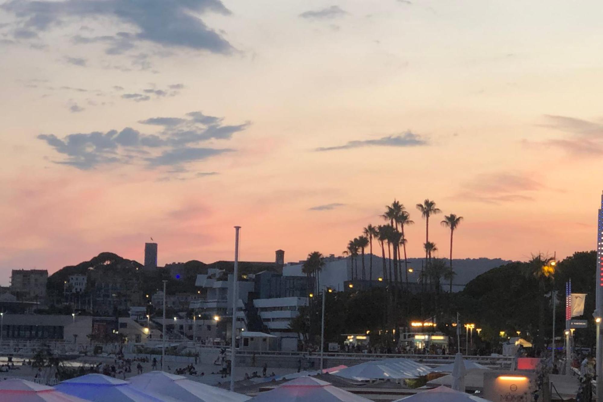 Apartment Splendid 1br In New - Palais 3 Mns Cannes